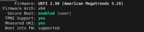 Terminal output showing the secureboot status